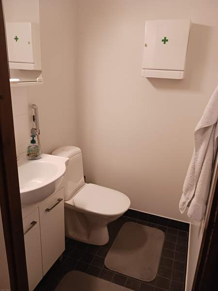 2h + s  Luumäki - valokuva 4