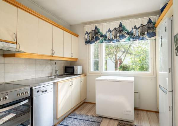 2h + s + p  Viitasaari - valokuva 6