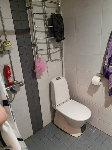 1h + s + p  Куопио - изображение 5