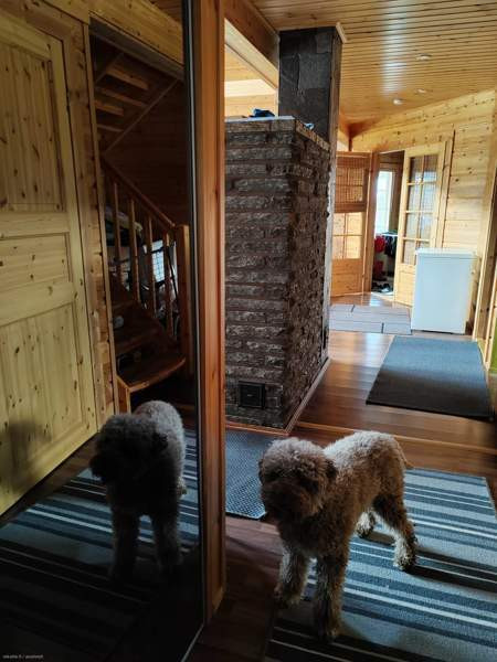 6h + k + kph + s + 2x wc + khh + p + var  Puumala - valokuva 5