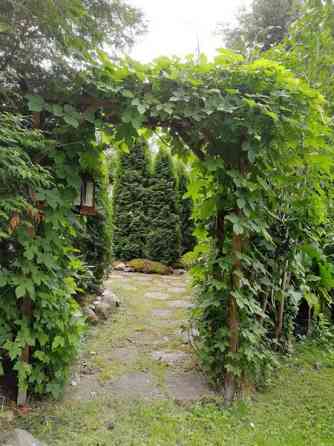 2h + s + p+vh  Kauhava