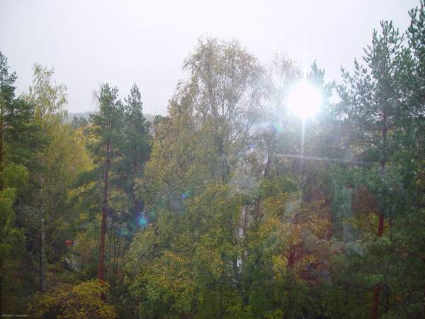 1h + avok  Mikkeli - photo 7