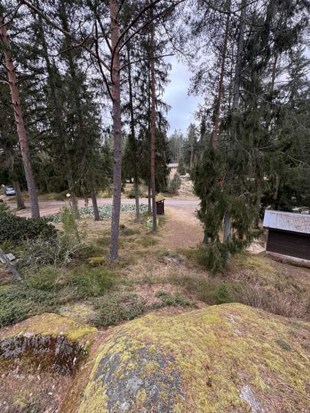 1h  Lieto – foto 1