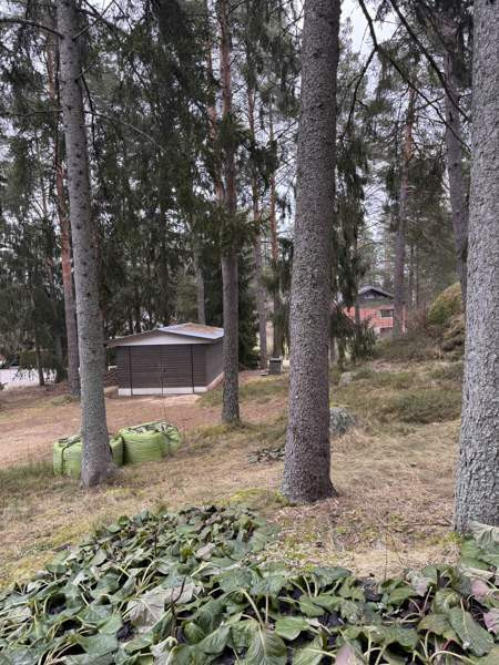 1h  Lieto – foto 4