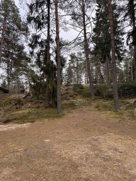 1h  Lieto – foto 3