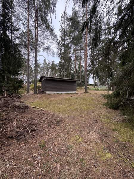 1h  Lieto – foto 5