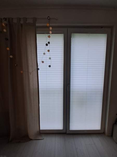 1h + r.parv.  Sibbo - photo 5