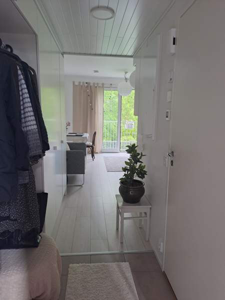 1h + r.parv.  Sibbo - photo 1