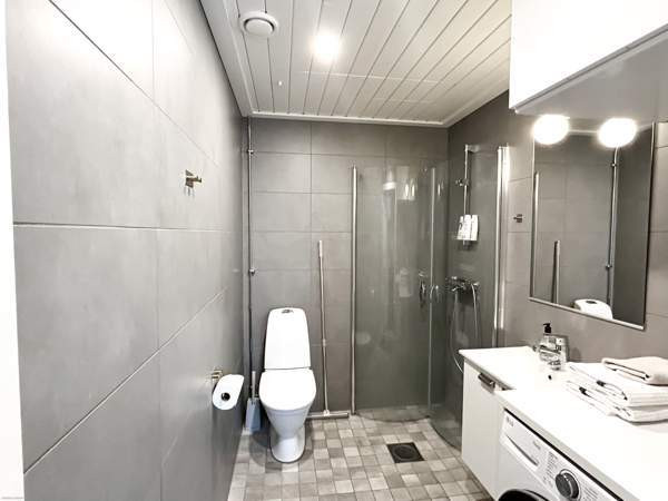 1h + avok  Сейняйоки - изображение 5