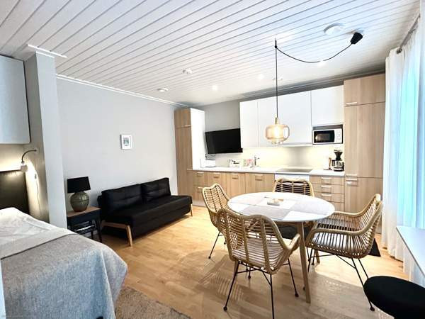 1h + avok  Сейняйоки - изображение 2