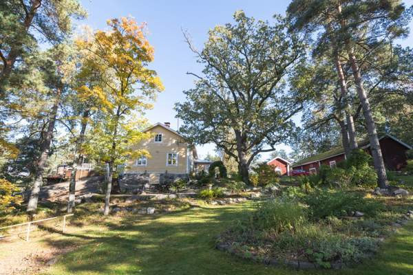 5h + k  Turtkul – foto 3