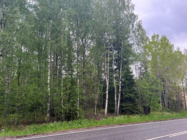 1h  Kemiönsaari - изображение 4