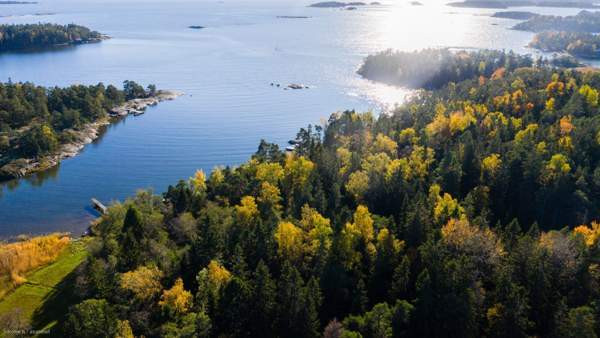 8 h+ avokeittiö+ s + terassi+ 4 auton talli  Espoo - valokuva 1