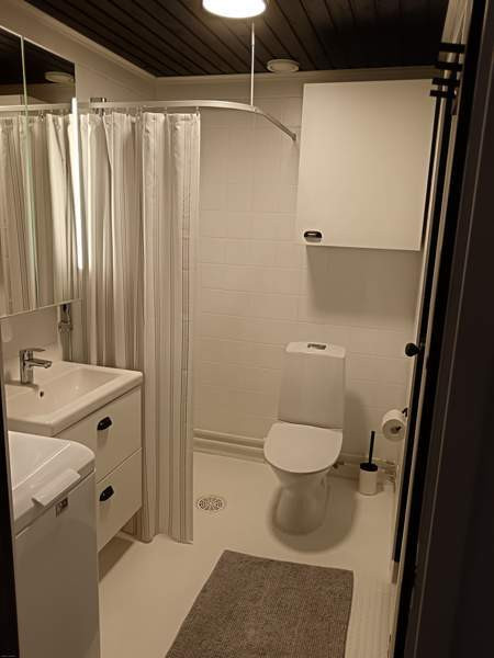 Oh + avok + mh + ph/wc + s + terassi  Joutsa – foto 4