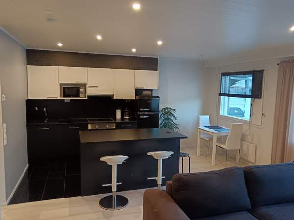 Oh + avok + mh + ph/wc + s + terassi  Joutsa – foto 2