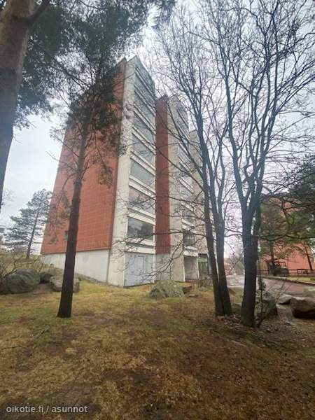 2h + kk  Чукотский АО - изображение 1