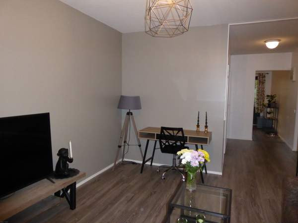 2h + k + p  Paimio - valokuva 4