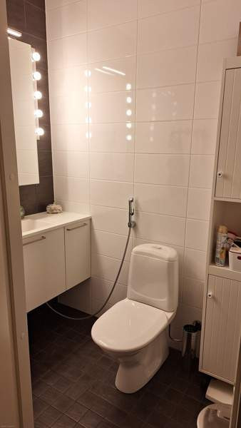 4h + s  Мянтсяля - изображение 3