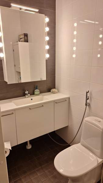 4h + s  Мянтсяля - изображение 7