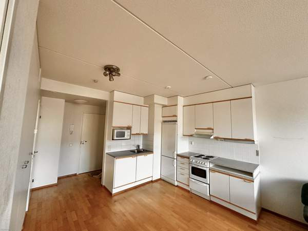 2h + s + p  Луга - изображение 6