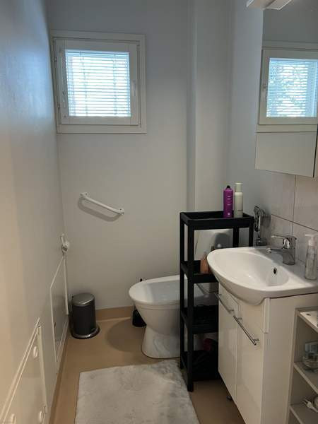 2h + s  Leppävirta - valokuva 4