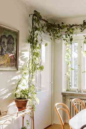 3h + k + p (yhtiöjärj. 2h + k + ullakko)  Turtkul