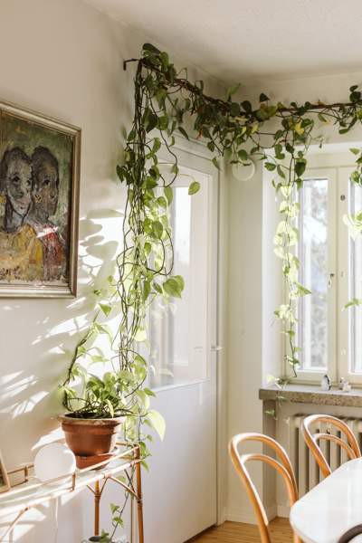 3h + k + p (yhtiöjärj. 2h + k + ullakko)  Turtkul - photo 5