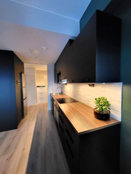 2h + k + s + parveke  Куопио - изображение 2