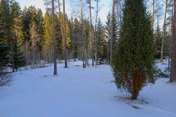 kitchen, living/dining, 3 toilets, 2 bathrooms, st  Сейняйоки - изображение 4