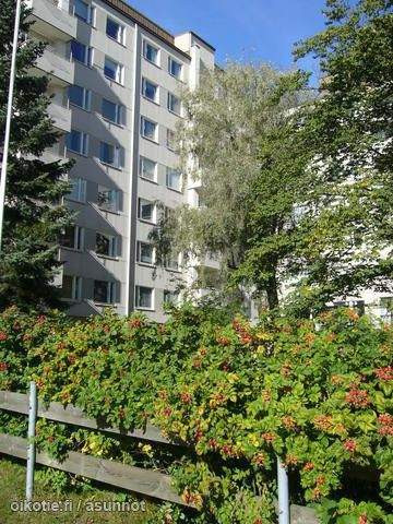 1h + kk + kph/Wc  Турткуль - изображение 3