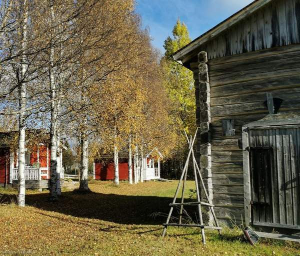 4h + k + s  Ranua - valokuva 2