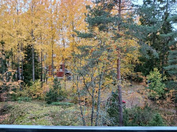 1h + avok + p  Вантаа - изображение 7