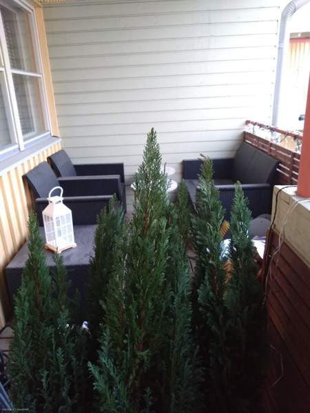 2h(tk)+s+p/t  Vaasa - valokuva 7