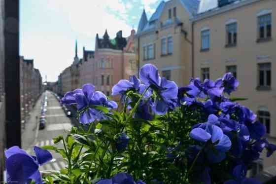 2h + k + kh +vh+ p  Helsinki