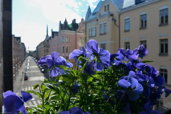 2h + k + kh +vh+ p  Helsinki - изображение 4