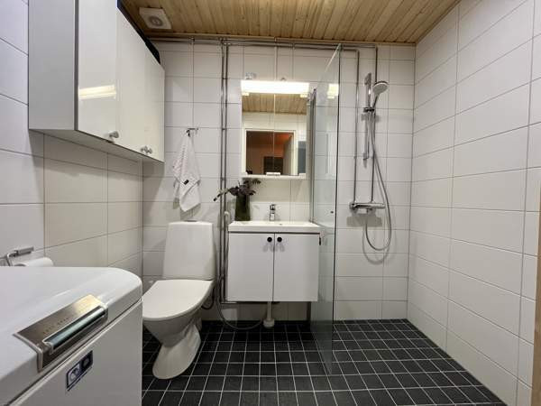 2h + k + s  Lapinlahti – foto 5