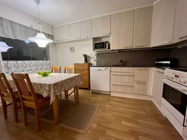 2h + k + s  Lapinlahti – foto 1