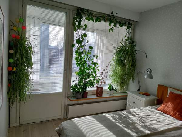 3h + k + et + vh + kph + p  Helsinki - valokuva 6