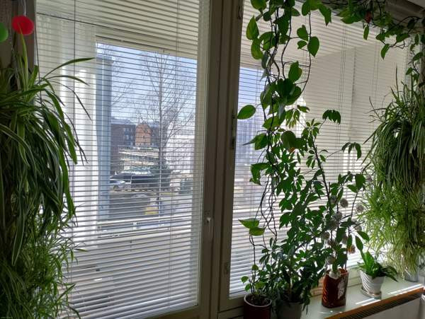 3h + k + et + vh + kph + p  Helsinki - valokuva 7