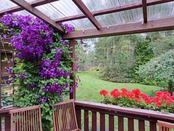 4h + s  Чукотский АО