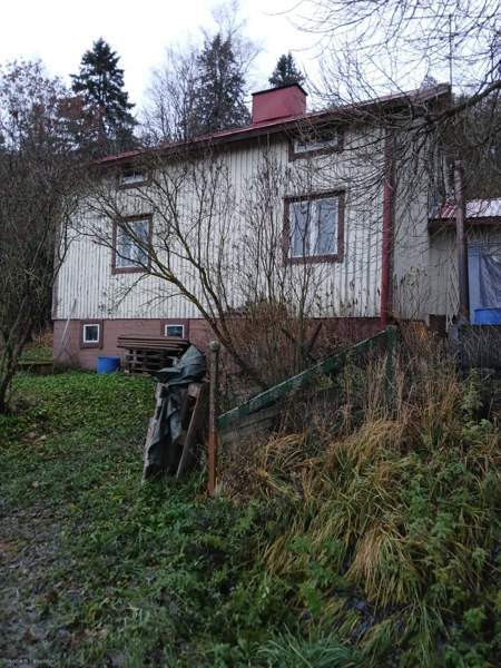 3h + s + p  Punkalaidun - valokuva 1