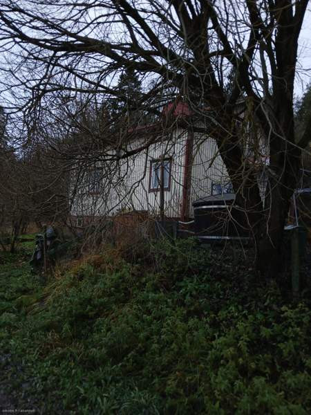 3h + s + p  Punkalaidun - valokuva 3