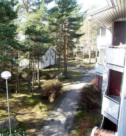 1h  Турткуль