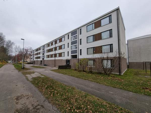 2h + p  Лохья - изображение 1