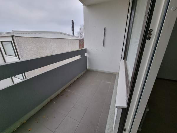 2h + p  Лохья - изображение 3