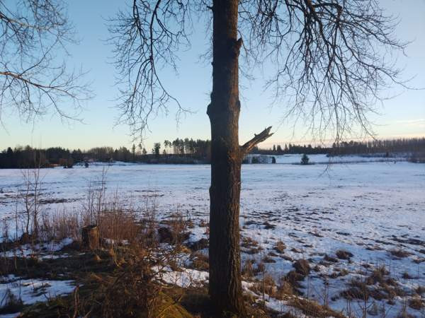 5h + avok + s  Sastamala – foto 2