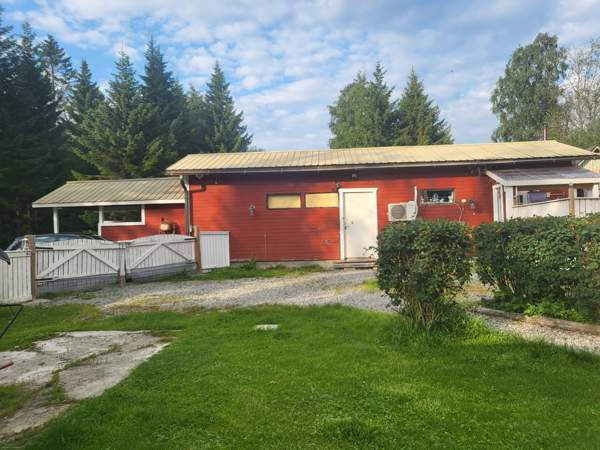 4h + avok + s  Kemin - photo 5