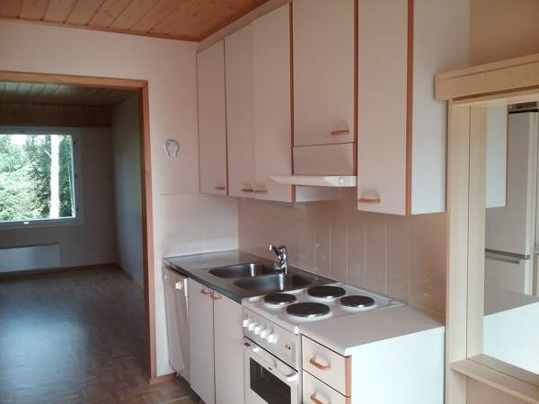 2h + s  Lapinlahti - photo 2