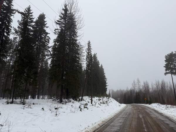 0h  Tammela - valokuva 1