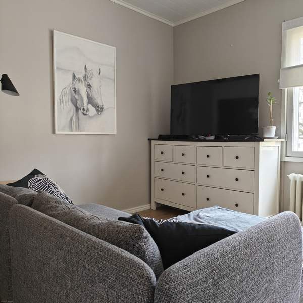 4h + wc + wc/suihku + avokeittiö  Turtkul - photo 6